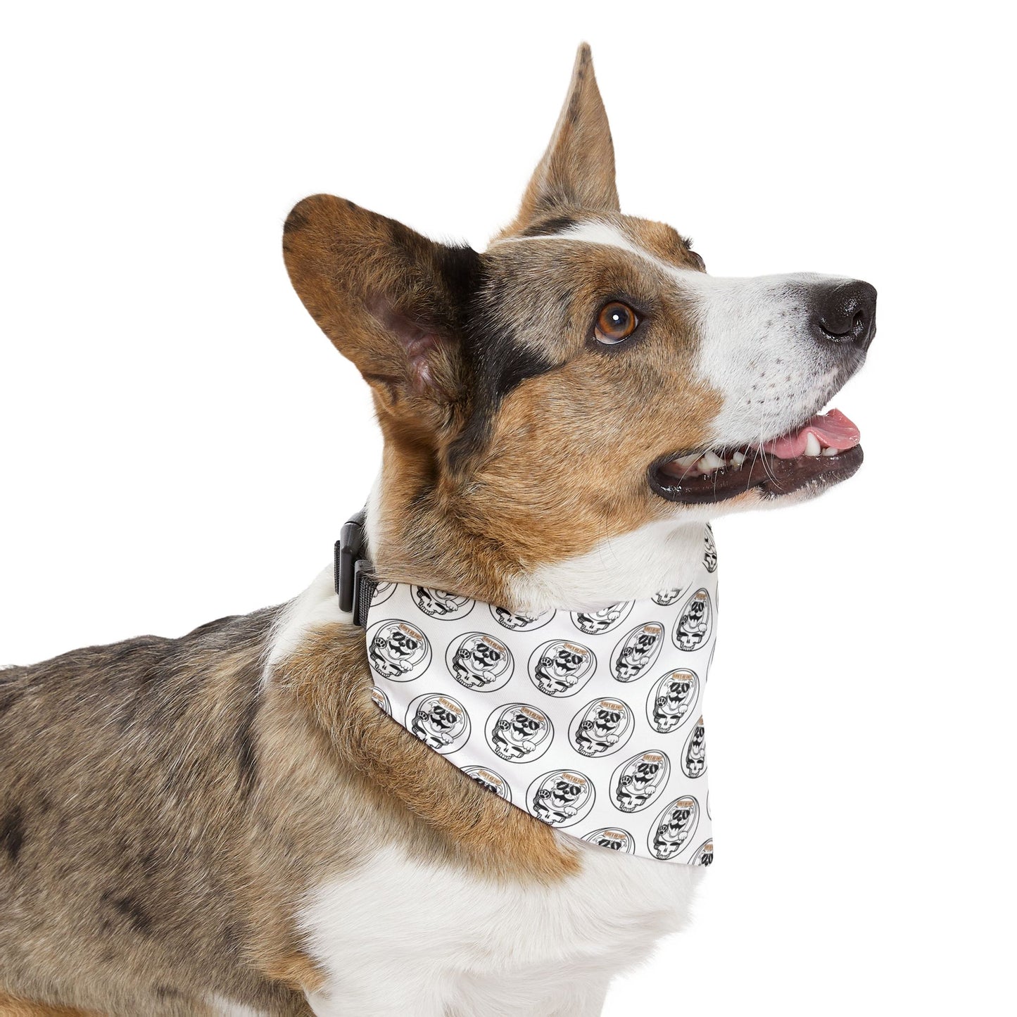 Sidekick Dog Collar Bandana – Because Every Pup Deserves to Shine