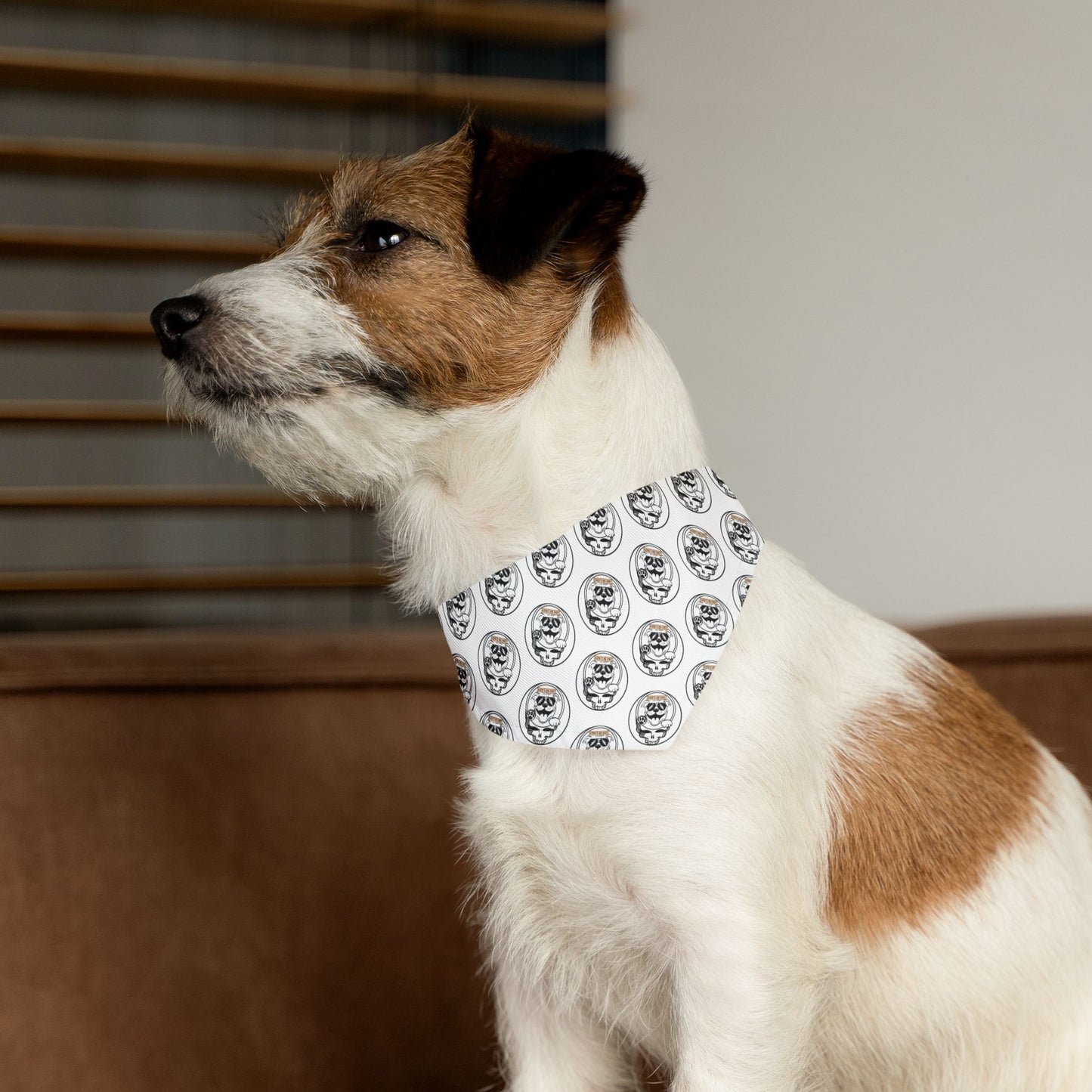 Sidekick Dog Collar Bandana – Because Every Pup Deserves to Shine