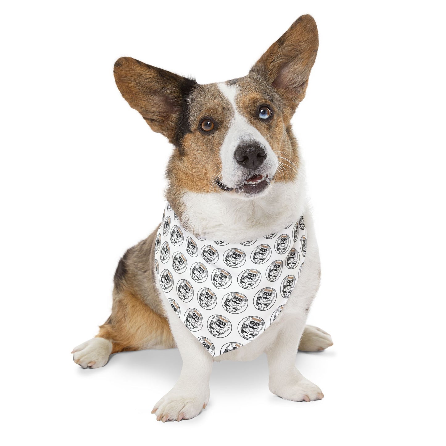 Sidekick Dog Collar Bandana – Because Every Pup Deserves to Shine