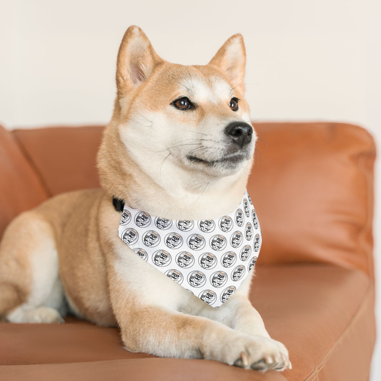Sidekick Dog Collar Bandana – Because Every Pup Deserves to Shine