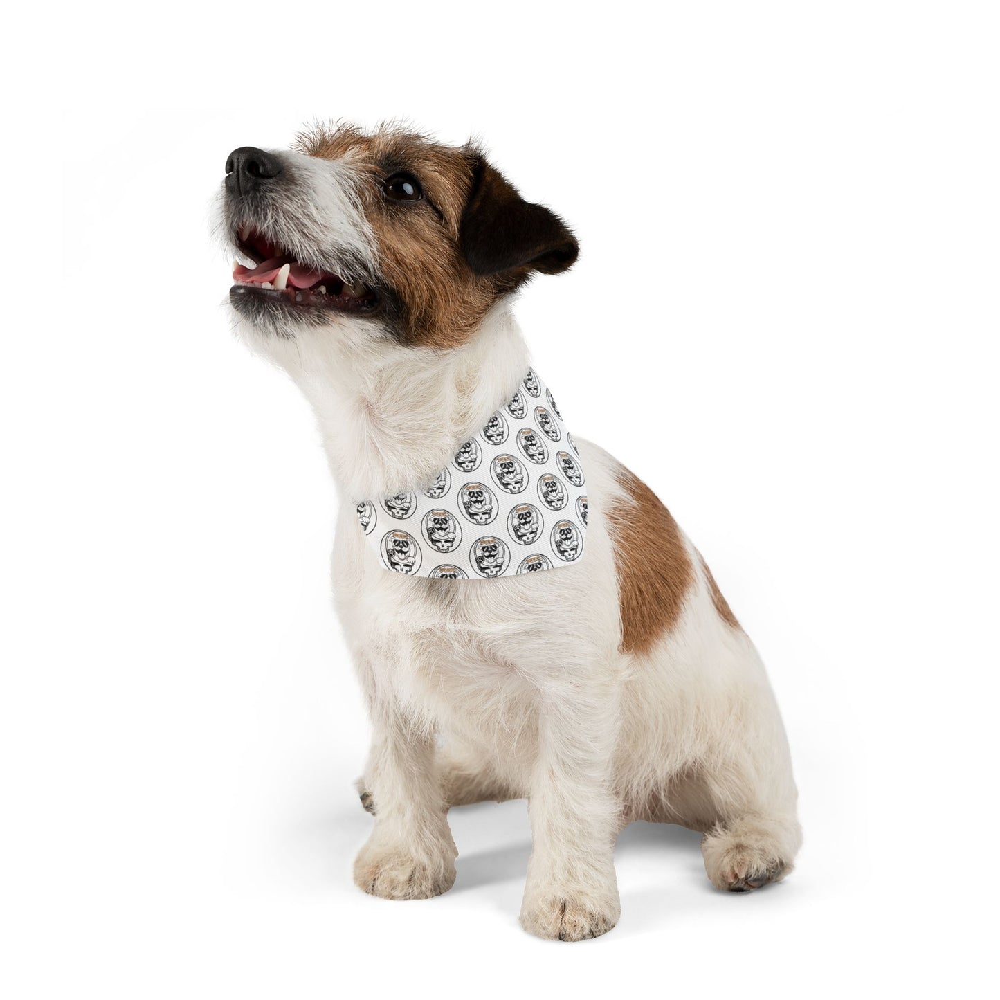 Sidekick Dog Collar Bandana – Because Every Pup Deserves to Shine