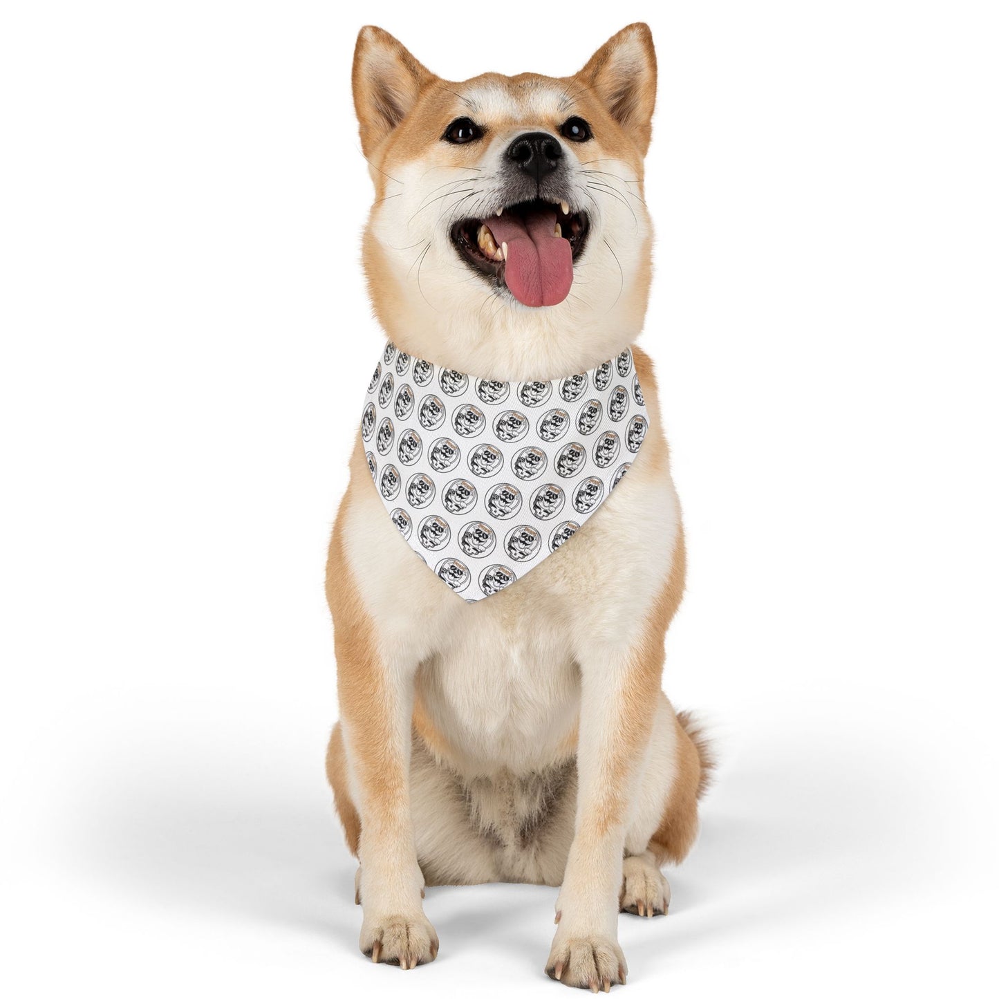 Sidekick Dog Collar Bandana – Because Every Pup Deserves to Shine